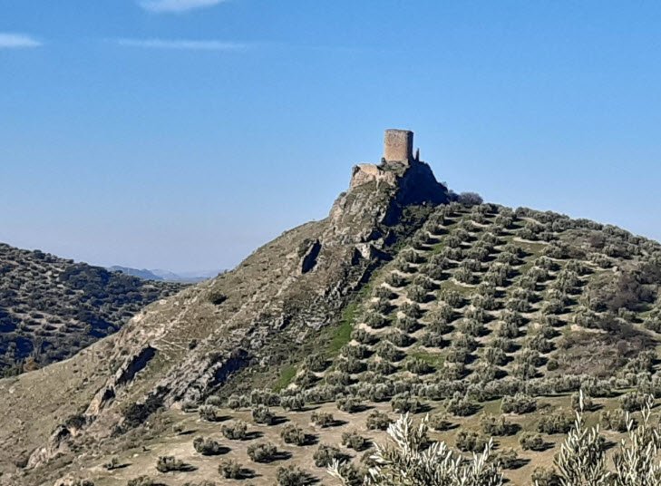 Castillo de la Encomienda de Víboras, Spain